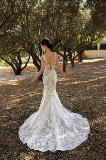 Demetrios 200162 #2 backface vertical thumbnail