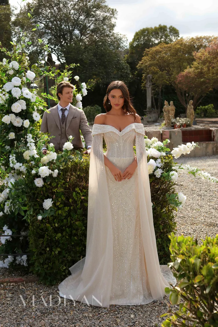 Vladiyan 2456 Default Thumbnail Image