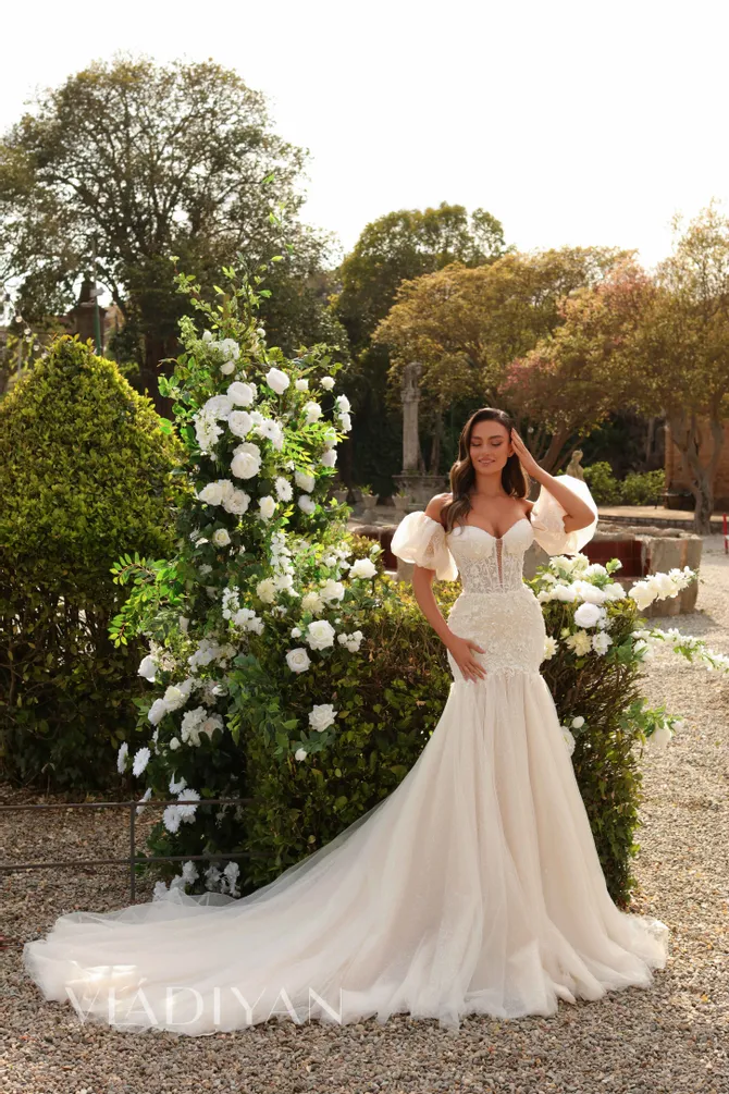 Vladiyan 2458 Default Thumbnail Image