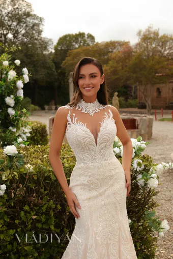 Vladiyan 2462 #2 frontface vertical cropped thumbnail