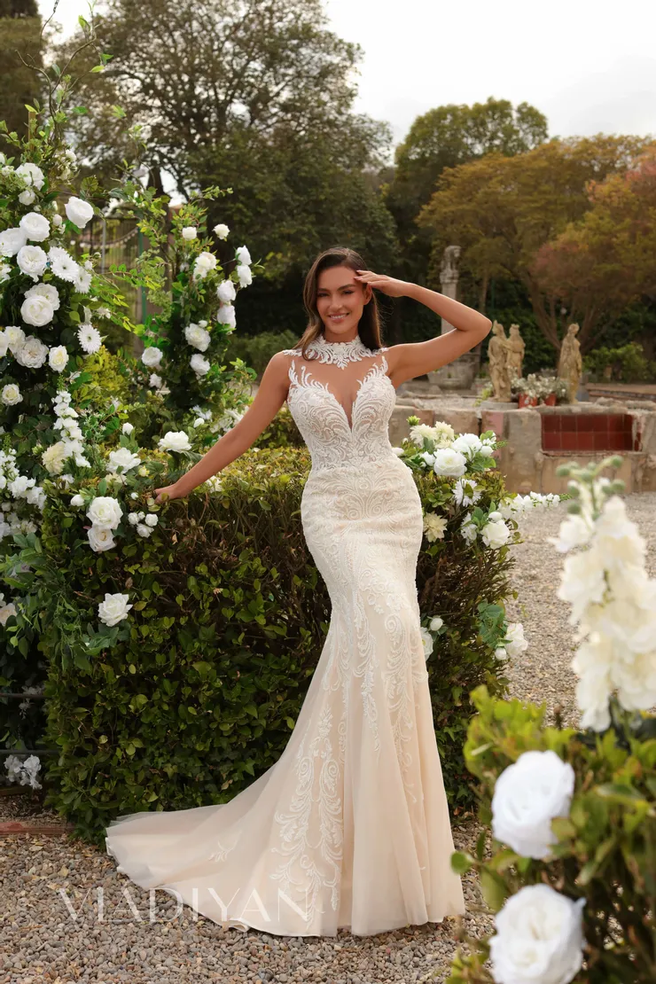 Vladiyan 2462 Default Thumbnail Image