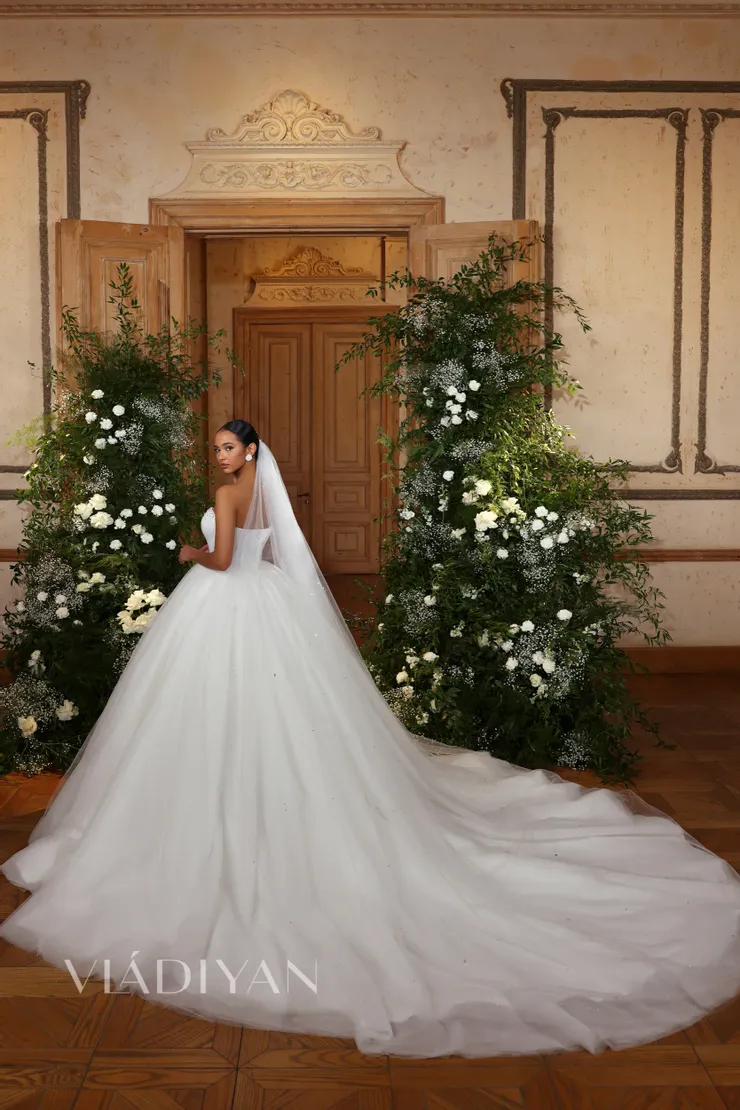 Vladiyan 2501 #1 vertical picture