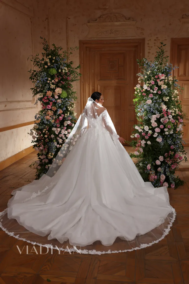 Vladiyan 2535 #1 vertical picture