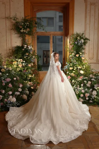 Vladiyan 2541 #2 default backface vertical thumbnail