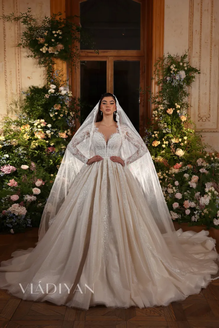 Vladiyan 2543 #1 frontface vertical picture